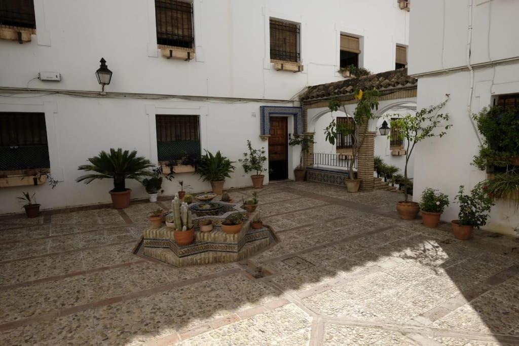 Medina Paradise Cordoba Dış mekan fotoğraf